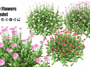 Colorful Common Daisy flowers bush 3D 모델