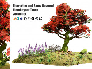 Flowering and snow covered Royal Poinciana Trees on a Hill Modèle 3D