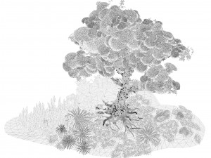 Flowering and snow covered Royal Poinciana Trees on a Hill Modèle 3D