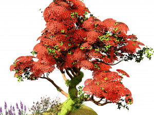 Flowering and snow covered Royal Poinciana Trees on a Hill Modèle 3D