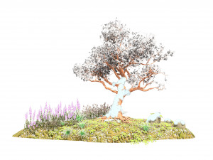 Flowering and snow covered Royal Poinciana Trees on a Hill Modèle 3D