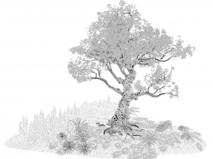Flowering and snow covered Royal Poinciana Trees on a Hill Modèle 3D