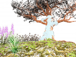 Flowering and snow covered Royal Poinciana Trees on a Hill Modèle 3D