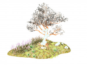 Flowering and snow covered Royal Poinciana Trees on a Hill Modèle 3D