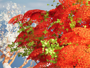 Flowering and snow covered Royal Poinciana Trees on a Hill Modèle 3D