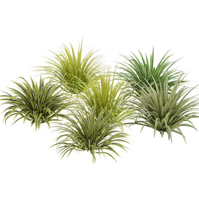 Banana Boat grass 3d Pack Modèle 3D .c4d .max .obj .3ds .fbx .stl .blend 
