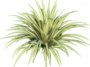 Banana Boat grass 3d Pack Modèle 3D