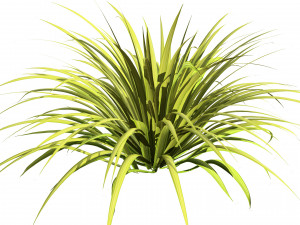 Banana Boat grass 3d Pack Modèle 3D