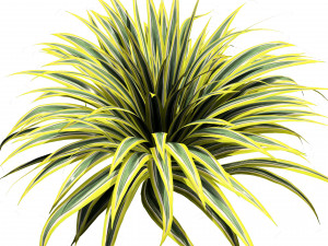 Banana Boat grass 3d Pack Modèle 3D