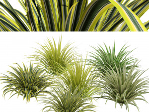 Banana Boat grass 3d Pack Modèle 3D