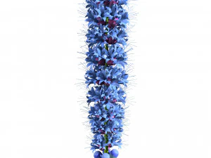 Bintang Berkobar di Mekar Model 3D