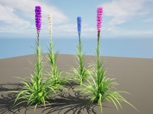 Blazing Stars in Bloom Modelo 3D