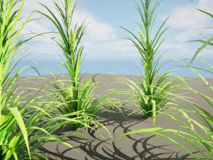 Bintang Berkobar di Mekar Model 3D