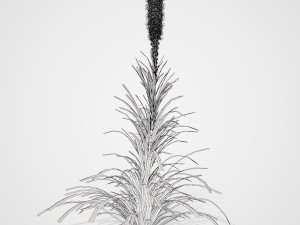 Blazing Stars in Bloom Modelo 3D