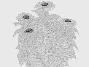 Arizona Red Shades flowers 3D Model