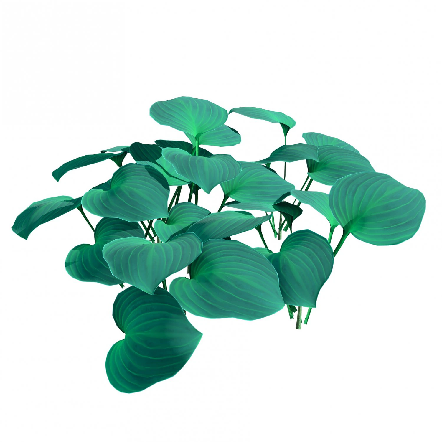 Breathtaking Blue Mouse Ears Hosta in All Seasons 3D Model .c4d .max .obj .3ds .fbx .stl .blend 