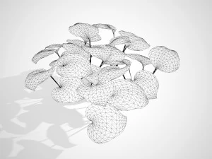 Breathtaking Blue Mouse Ears Hosta in All Seasons 3D Model