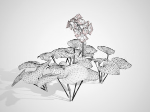 Breathtaking Blue Mouse Ears Hosta in All Seasons 3D 모델