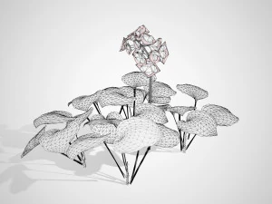 Breathtaking Blue Mouse Ears Hosta in All Seasons 3D Model