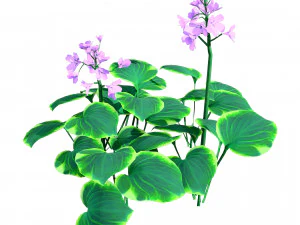Breathtaking Blue Mouse Ears Hosta in All Seasons 3D Model