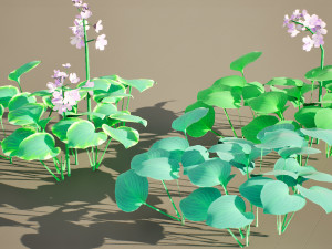 Breathtaking Blue Mouse Ears Hosta in All Seasons 3D 모델