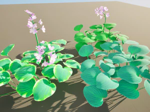 Breathtaking Blue Mouse Ears Hosta in All Seasons 3D Model
