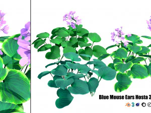Breathtaking Blue Mouse Ears Hosta in All Seasons 3D Model