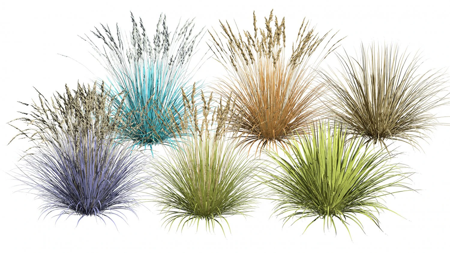 All-Season Blue Fescue 3D Model .c4d .max .obj .3ds .fbx .stl .blend 