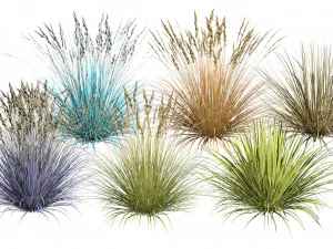 オールシーズン ブルーフェスク 3Dモデル