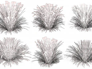 All-Season Blue Fescue 3D Model