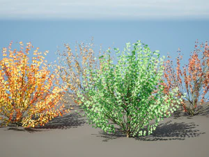 Hamamelis vernalis a 3D Masterpiece for All Seasons 3D Model