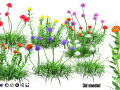 7 Pincushion Blooms collection 3D 모델