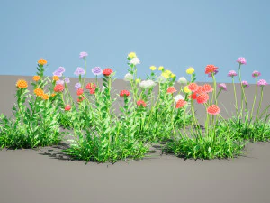 7 Pincushion Blooms collection 3D Model