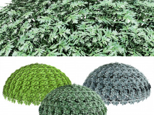 Silver Mound Artemisia 3D मॉडल