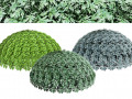 Silver Mound Artemisia 3D Модель