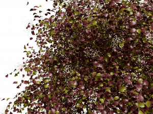 Pagoda dogwood shrubs Modello 3D