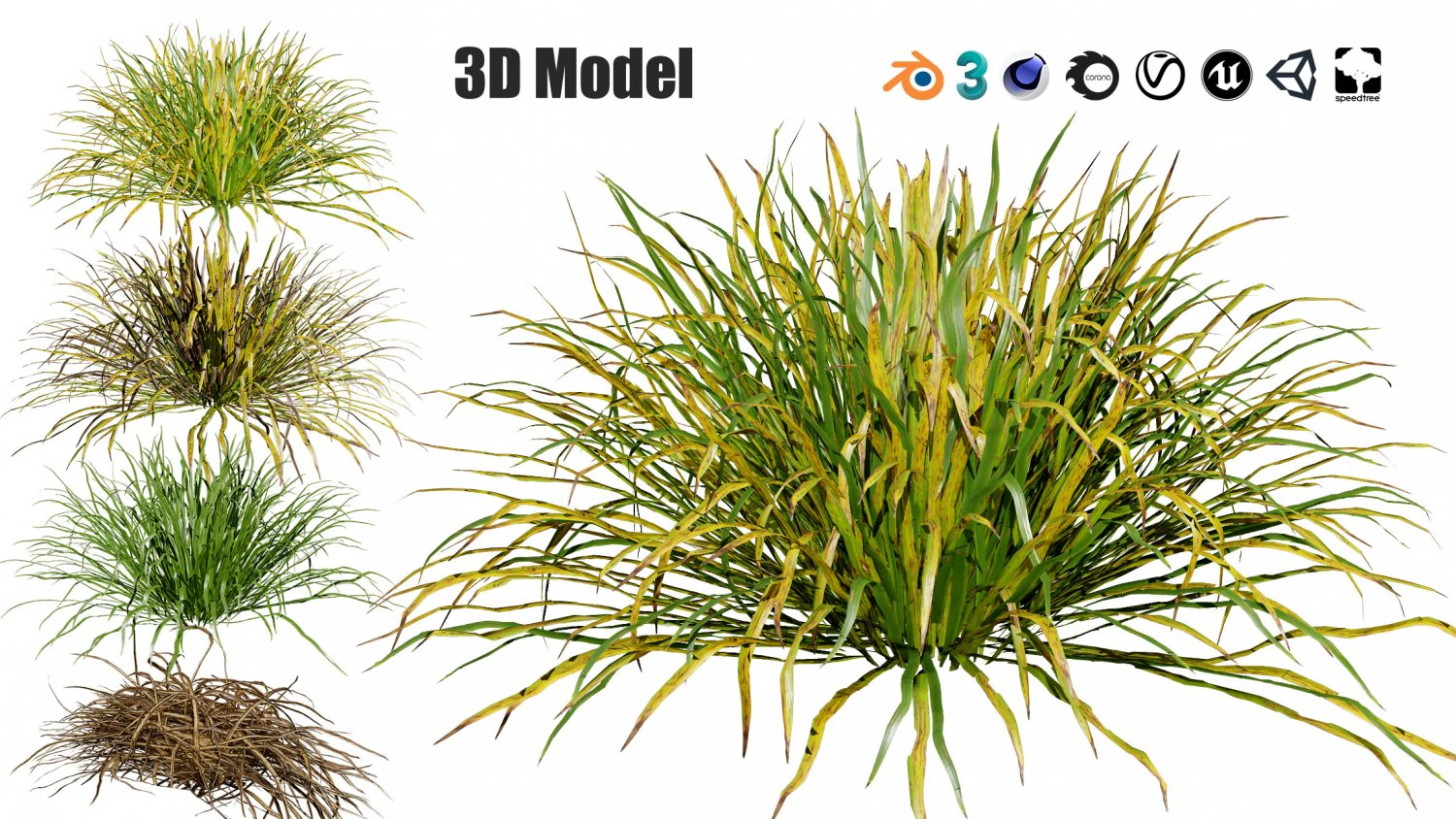 Dwarf Mondo Grass 3D Pack 3D Model .c4d .max .obj .3ds .fbx .stl .blend