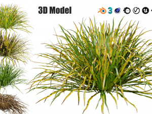 Dwarf Mondo Grass 3D Pack 3D Model