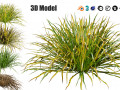 Dwarf Mondo Grass 3D Pack Modello 3D
