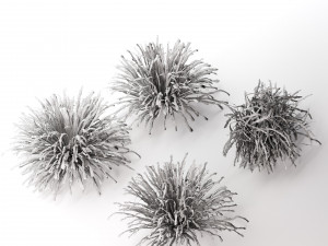 Dwarf Mondo Grass 3D Pack 3Dモデル