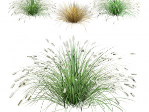 Low poly Little Bunny Fountain Grass Modelo 3D