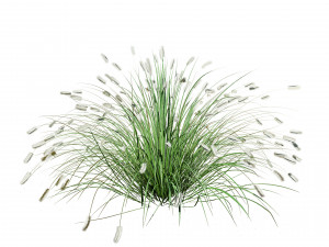 Low poly Little Bunny Fountain Grass Modelo 3D