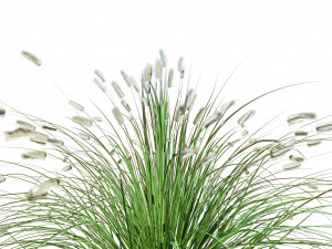 Low poly Little Bunny Fountain Grass Modelo 3D