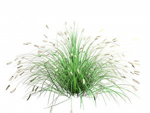 Low poly Little Bunny Fountain Grass Modelo 3D