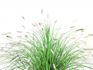 Low poly Little Bunny Fountain Grass Modelo 3D