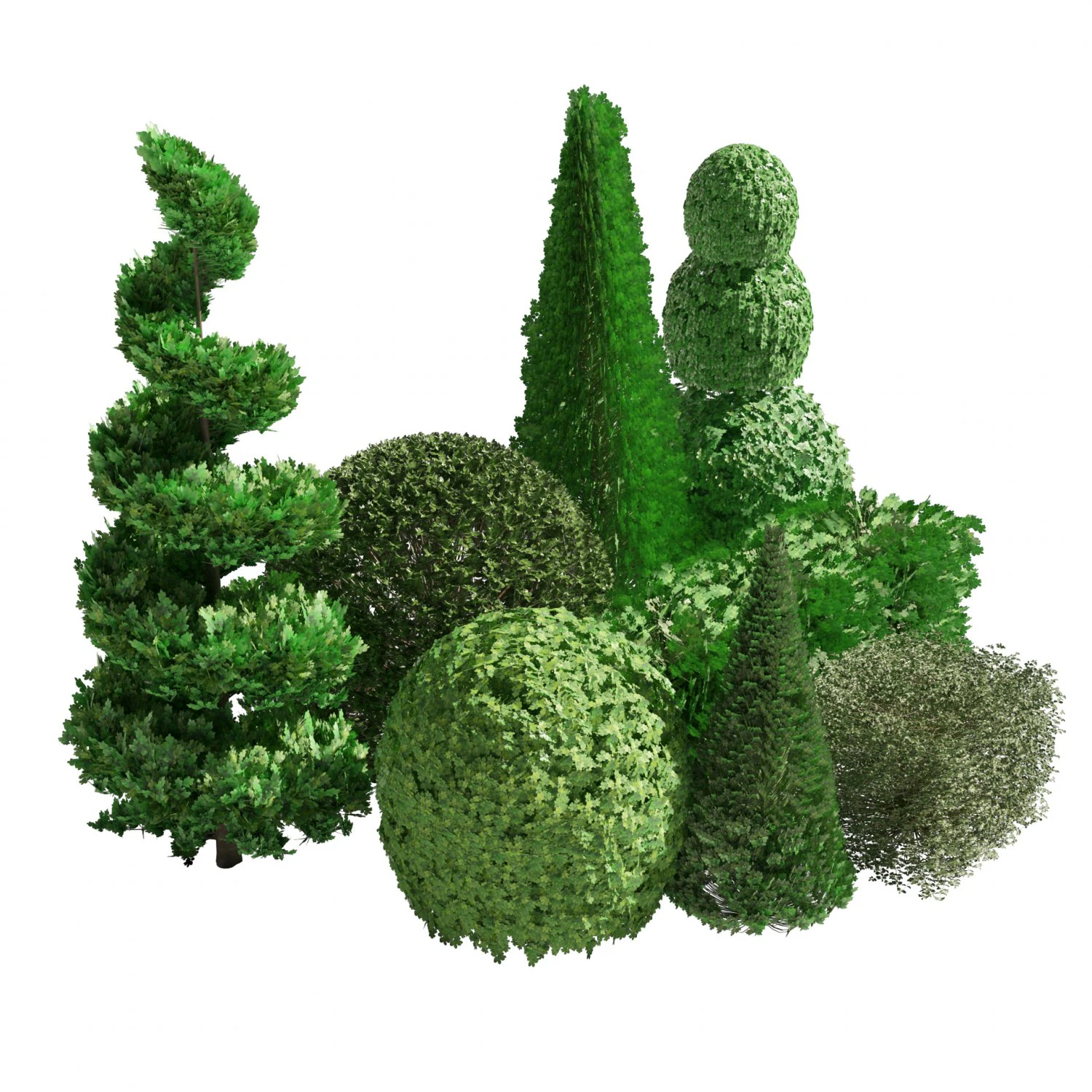 Suffruticosa Boxwood Collection for 3d Landscape 3D Model .c4d .max .obj .3ds .fbx .stl .blend 