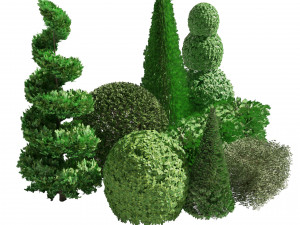 Suffruticosa Boxwood Collection for 3d Landscape 3D Model