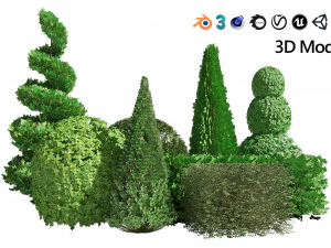 Suffruticosa Boxwood Collection for 3d Landscape 3D Model