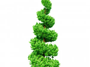 Suffruticosa Boxwood Collection for 3d Landscape 3D Model