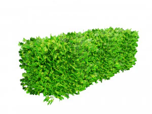 Suffruticosa Boxwood Collection for 3d Landscape 3D Model